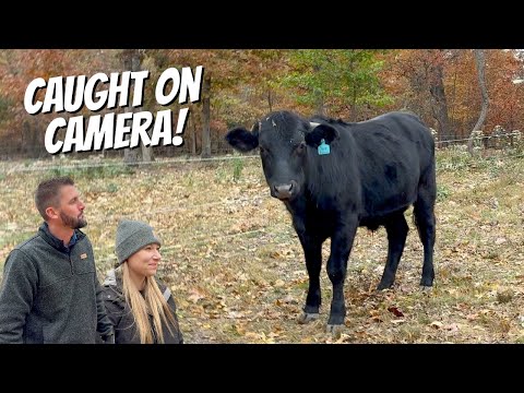 Видео: СРОЧНО! Нам пришлось спешить домой!