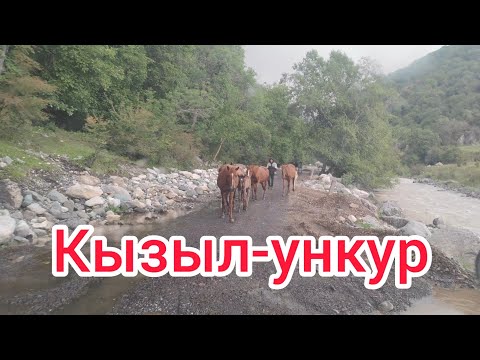 Видео: Базар-коргон ынтымак улагына келдик