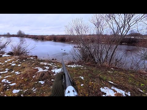 Видео: ПОДКРАЛСЯ К СТАЕ УТОК И ОТЛИЧНО ОТСТРЕЛЯЛСЯ. Охота на Утку. Шикарные Подходы к Дичи.