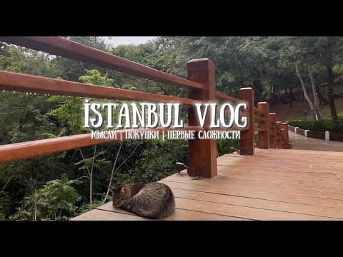 Видео: VLOG | Первые недели самостоятельной жизни в Стамбуле 🇹🇷 - О ценах, личные мысли и первые сложности