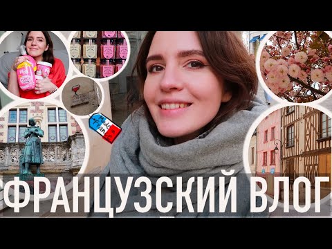 Видео: ♥️ФРАНЦУЗСКИЙ ВЛОГ - 😍ПОТРЯСАЮЩИЙ (И НЕМНОГО СУМАСШЕДШИЙ🤪) ОРЛЕАН И ПОКУПКИ 30-ЛЕТНИХ😂