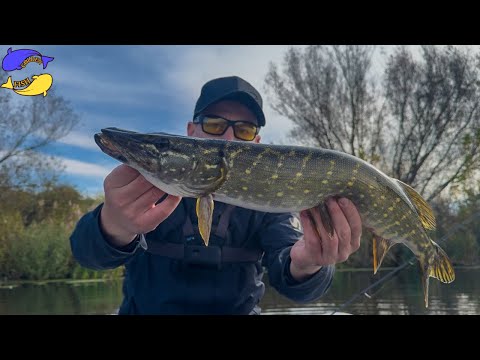 Видео: ЖОР ЩУКИ НА РІЧЦІ!НА ЯКІ ПРИМАНКИ ЛОВИТИ В ЖОВТНІ?!