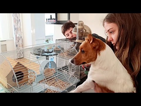 Видео: VLOG Без отопления очень плохо🥶.Проситься обратно вернуться к сестре. Пью МАГНИЙ В6 помогут или нет?