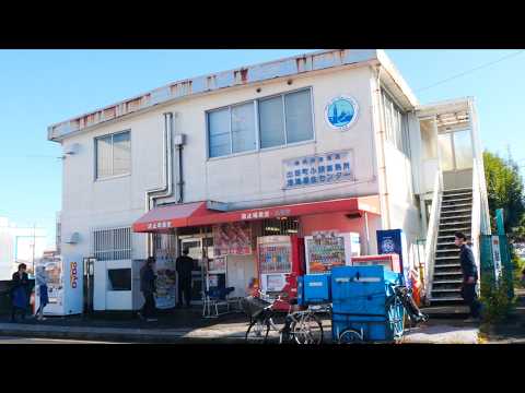 Видео: Еда за 2 доллара, Кацудон за 3 доллара! 500 рабочих стекаются в эту супердешевую закусочную!