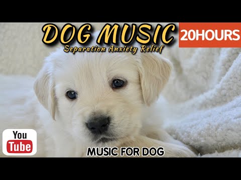 Видео: 20 часов любимой музыки собак🐶💖Музыка для сна собак 🐶🎵 Музыка для снятия беспокойства при разлуке🎵