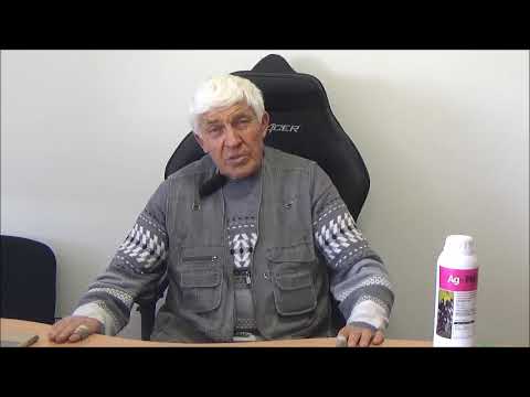 Видео: Подготовка орехового сада к зиме. Сентябрь 2018