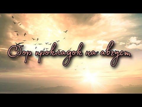 Видео: Сбор прокладок на август 2022