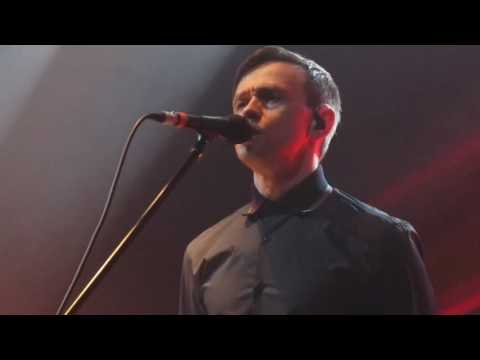 Видео: Дельфин | Dolphin - QT