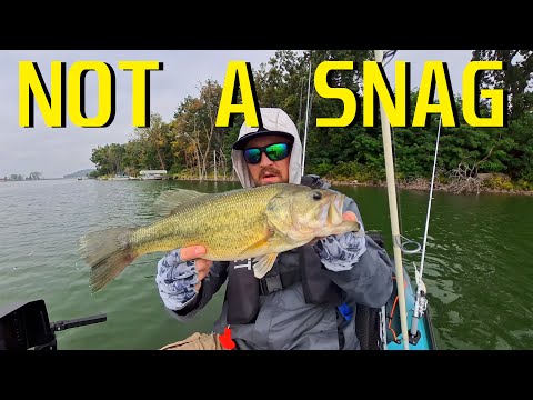 Видео: Думал, что это загвоздка… Пока 3-фунтовый не дал отпор!