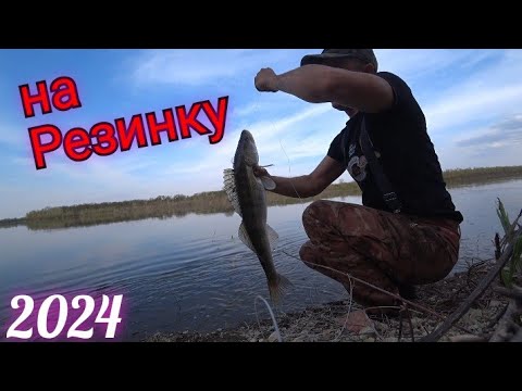 Видео: Рыбалка на резинку 2024!! НОВАЯ СНАСТЬ в деле