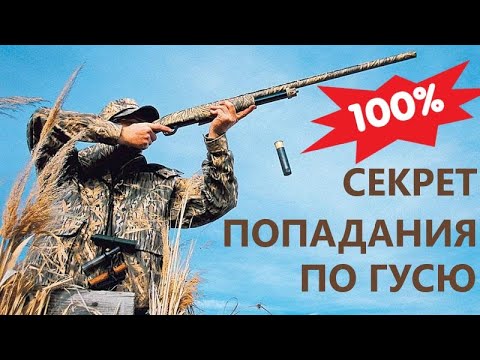 Видео: 💥 Ч.1 КАК ПРАВИЛЬНО И ТОЧНО СТРЕЛЯТЬ ГУСЯ