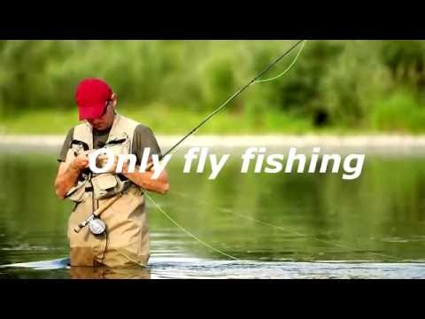 Видео: Only fly fishing-Ловля судака и жереха нахлыстом теория (Дмитрий Волжин)