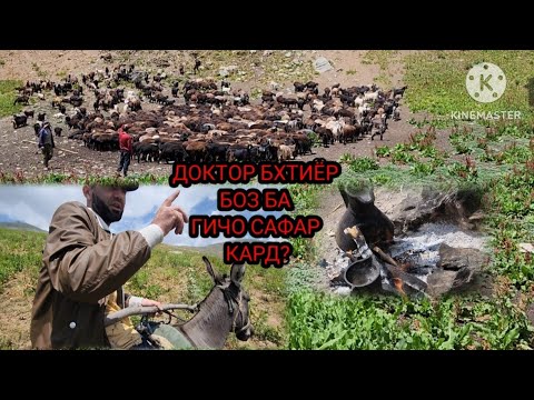 Видео: ДАРАИ КАНАСК