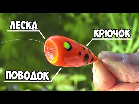 Видео: СНАСТЬ #1 на ЛЮБУЮ РЫБУ... Рыбалка на ПОПЛА - ПОППЕР с ультралайтом! Ловля голавля и краснопёрки