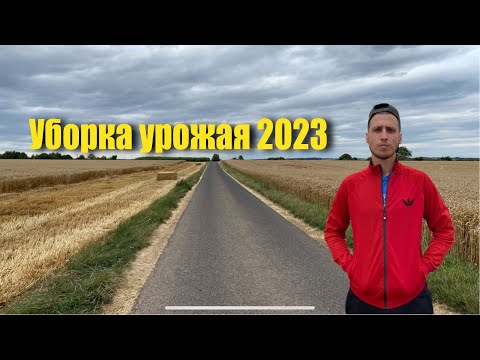 Видео: Уборка урожая 2023. Уборка пшеницы. Тюкование соломы. Урожай 2023.