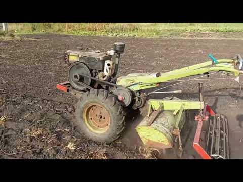 Видео: Посів гірчиці