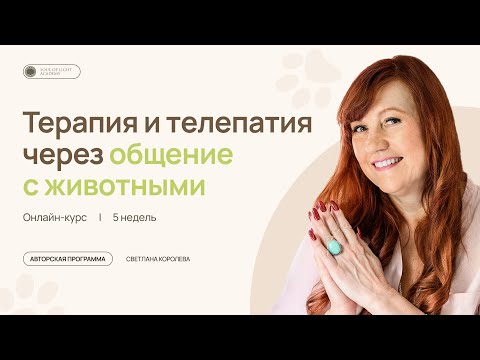 Видео: Терапия и Телепатия через общение с животными