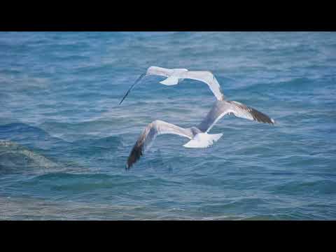 Видео: Майская Киммерия. Море. Облака. Туман