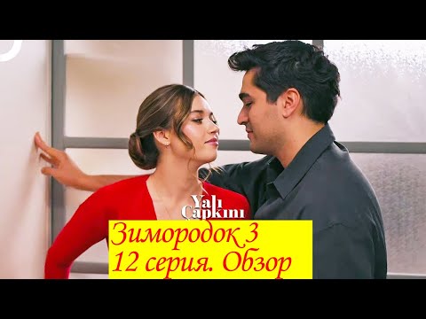 Видео: Зимородок 3  Серия 12  Обзор пересказ