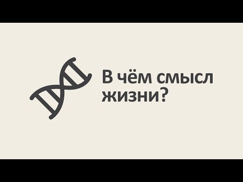 Видео: Время и энтропия. Серия #5: В чём смысл жизни? [MinutePhysics]