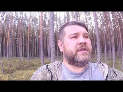 Видео: ВСЕ!!! брусника надоела,иду в отпуск!!!