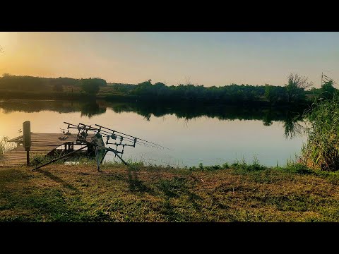 Видео: Рибальство у с. Зелене. Одна з найкращих водойм по лову коропа в 2025 р.