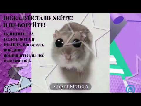Видео: КОЛЛАБ С ДИНО! 