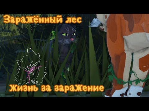 Видео: 3 серия "Заражённый лес"! Коты воители роблокс! Warrior Cats Ultimate Edition Roblox