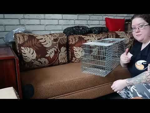 Видео: Инструкция по сборке и разборке живоловки / котоловки / кошколовки