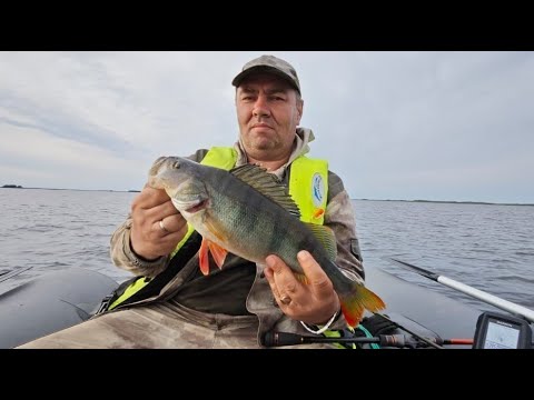 Видео: Ивинский Разлив 2024.