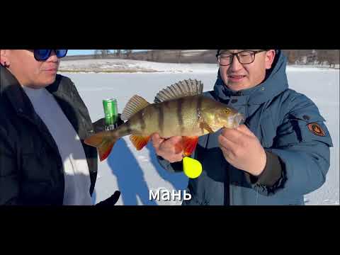 Видео: Өвлийн загасчлал, аялал Хөвсгөл #1 2025.01