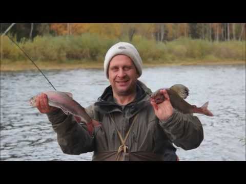 Видео: Рыбалка на р. Чапа (приток Вельмо)