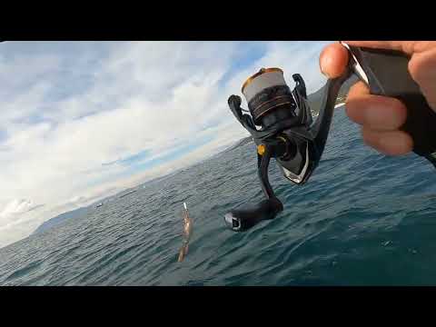 Видео: Морская рыбалка в Кабардинке в октябре (часть1)