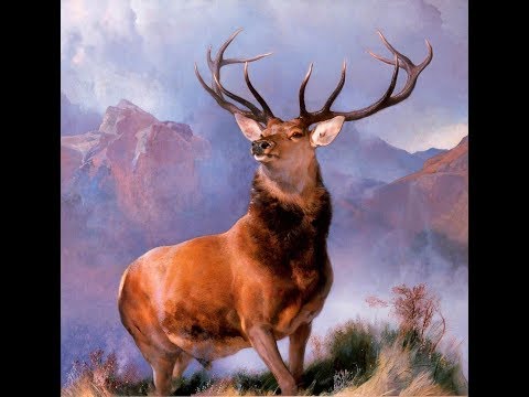 Видео: Алень-император. Высшее воплощение настоящего мужчины!