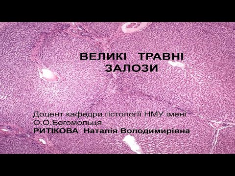 Видео: Лекція   Печінка та підшлункова залоза