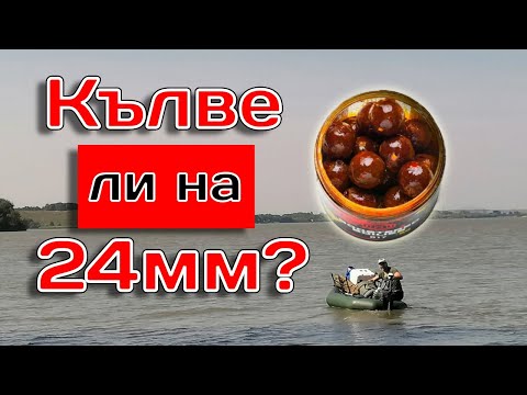 Видео: Риболов на шаран | Кълве ли на 24mm топче?