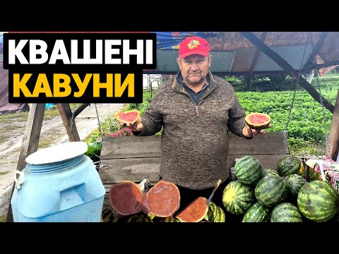 Видео: Простий рецепт квашених кавунів в бочці 