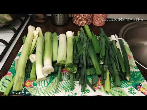 Видео: ЛУК-ПОРЕЙ. СУШИМ и МОРОЗИМ/Заготовки  на Зиму/рецепты На глазок/