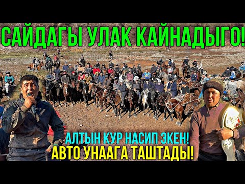 Видео: УЛАКТЫН КАЙНАГАН ЖЕРИ 🤯 #horse