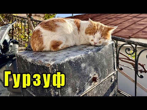 Видео: Крым, смотрим Гурзуф, снимаем море и кормим бездомных котиков.