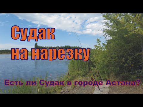 Видео: ЛОВЛЮ СУДАКА В ГОРОДЕ НА НАРЕЗКУ! Есть ли Судак в Астане на Ишиме?