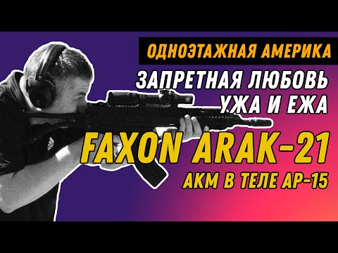 Видео: AR-15 вышла замуж за АКМ - ARAK-21