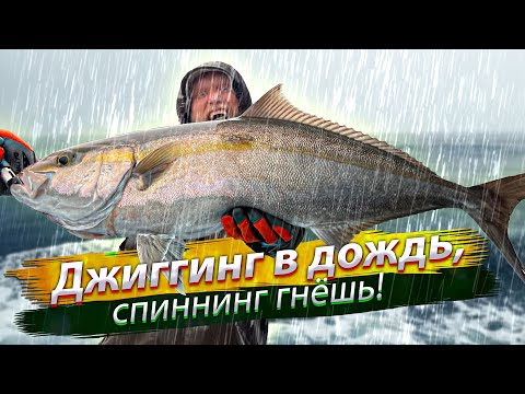 Видео: В ЛИВЕНЬ рыбалка лучше? Закинул пилькер под корабль и что из этого вышло