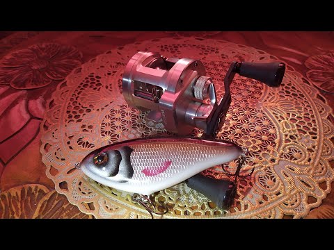 Видео: Daiwa Ryoga 1016HL. Оживляю " легенду " ).