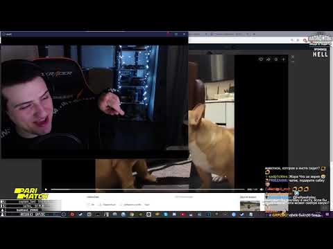 Видео: ВИДОСЫ ОТ ЧАТИКА Ч.27