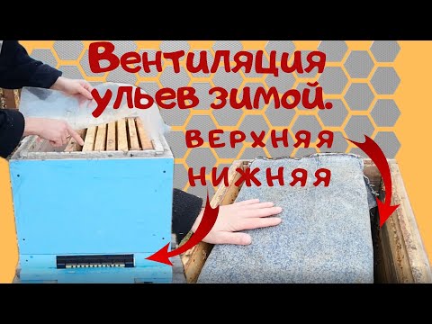 Видео: Вентиляция ульев зимой. - Как избежать влаги в ульях.