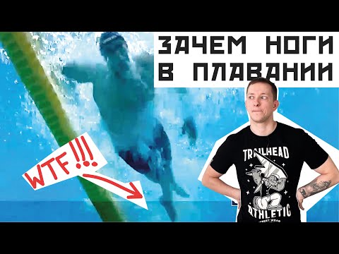 Видео: ЗАЧЕМ ТЕБЕ НОГИ В ПЛАВАНИИ КРОЛЕМ. Разбор и примеры