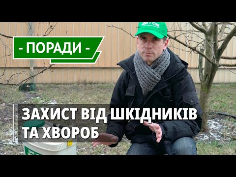 Видео: Зимняя обработка сада. Искореняющее опрыскивание плодовых деревьев зимой от вредителей и болезней