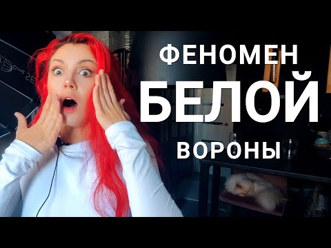 Видео: Хорошо или плохо👎 быть белой вороной❓ #психология #психолог