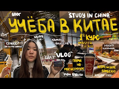 Видео: Учёба в Китае 🇨🇳 1-й курс магистратуры | мои ощущения, пары, кампус универа, китайская еда // влог 💌